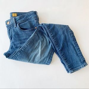 Anthropologie Pilcro Mid Rise Skinny Jeans Size 27